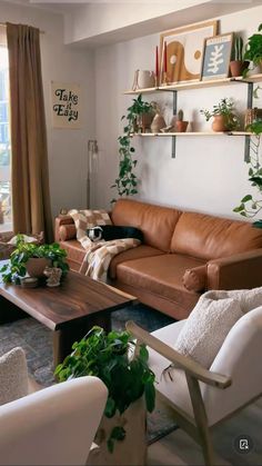 a living room filled with furniture and plants