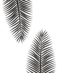 two black and white palm leaves on a white background