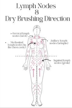 How To Dry Brush, Lymph Nodes, Dry Brush, روتين العناية بالبشرة