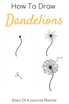 the cover of how to draw dandelions