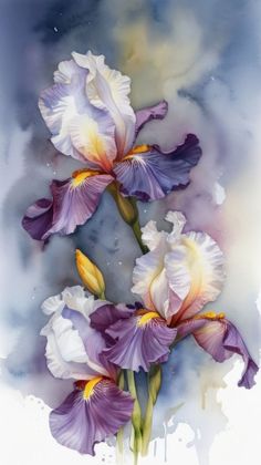 two purple and white irises in watercolor on paper with blue sky behind them