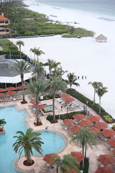 an aerial view of a resort pool and beach with palm trees in the foreground