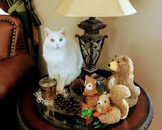 a white cat sitting on top of a table next to stuffed animals and teddy bears