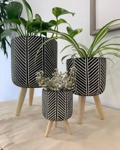 three black and white planters with plants in them