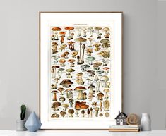 an illustration of various mushrooms on a white wall