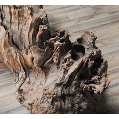 a piece of wood that is on top of a wooden floor and has been carved to look like a tree stump