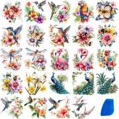 an assortment of flowers and birds on a white background