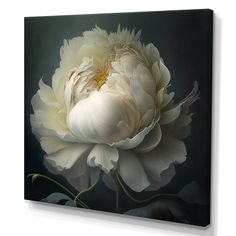 a large white flower on a black background canvas wall art print, ready to hang