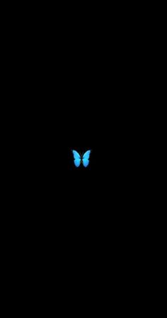 a blue butterfly is glowing in the dark