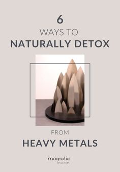 Heavy Metal Toxicity Symptoms, Heavy Metal Toxicity, Heavy Metal Poisoning, Healthy Holistic Living, Alkaline Diet, Liver Detox, Natural Therapy