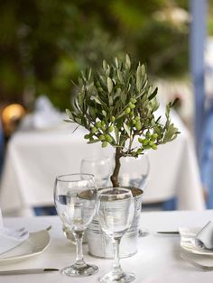 an olive tree in a glass vase on top of a table with silverware and napkins