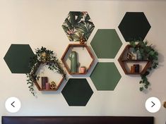 a bedroom with hexagonal shelves and plants on the wall