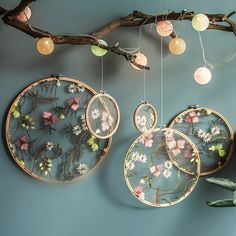 three plates hanging from a branch with flowers on them and some lights attached to the wall