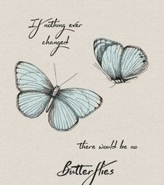 two butterflies with the words i nothing ever changed, and there would be no butterflies