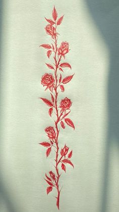 the shadow of a person's hand holding a red rose on a white shirt