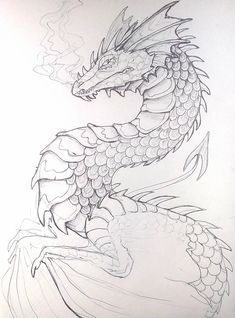 a drawing of a dragon sitting on top of a table