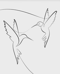 a line drawing of a hummingbird flying in the sky with its wings spread out