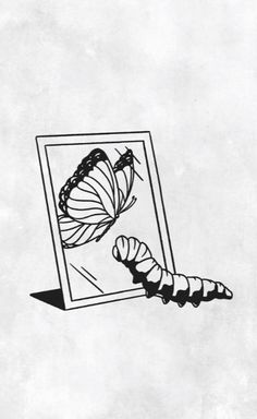 a black and white drawing of a butterfly in a frame with the image of a caterpillar on it