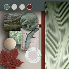 an assortment of green and brown items are arranged on a gray background with red accents