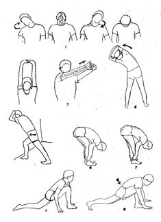 the instructions for how to do an exercise