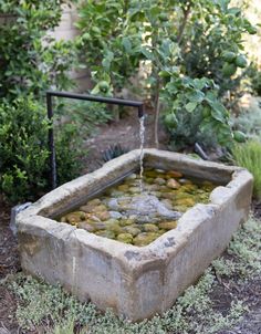 a water fountain in the middle of a garden