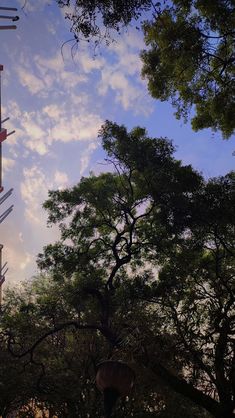 the sky is very cloudy and there are many street signs in front of it,