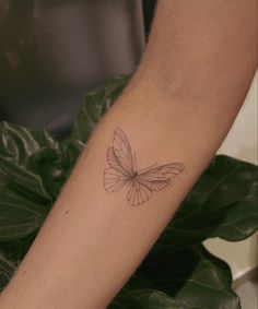 a small butterfly tattoo on the arm