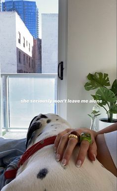 a woman is petting a dalmatian dog on the couch in front of a window