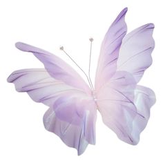 a purple butterfly with white wings on it's back