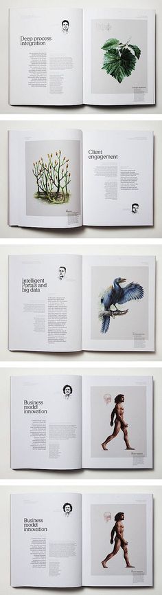 an open book with pictures of birds and plants on it's pages, in different positions