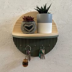 a potted plant sitting on top of a wooden shelf next to two key hooks