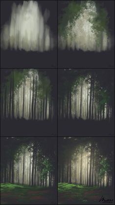 four different shots of trees in the woods, with one light coming from behind them