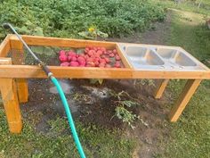 a wooden table with two sinks and some strawberries in it on the ground next to a garden hose