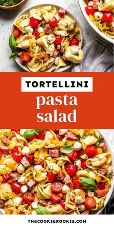 tortellini pasta salad with tomatoes, basil and mozzarella