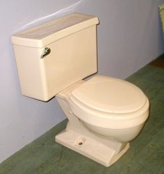 a white toilet sitting on top of a wooden floor next to a green rug and wall