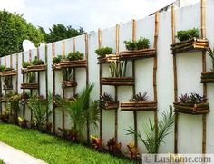 there are many planters on the wall in this yard, which is decorated with bamboo sticks