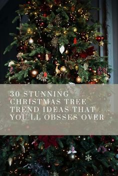 a christmas tree with the words 30 stunning christmas tree trend ideas that you'll obses over