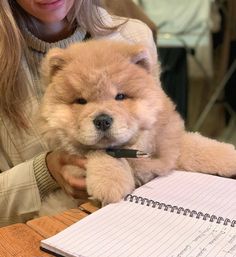 a woman sitting at a table with a dog in her lap and writing on a notebook