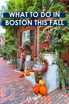 a brick sidewalk with potted plants and pumpkins on the steps in front of it