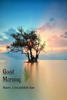 a tree sitting on top of a body of water with the words good morning have a beautiful day