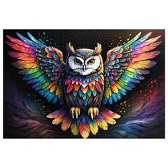 an owl with multicolored wings on a black background