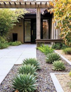 an outdoor area with plants and gravel in front of a house on a sunny day