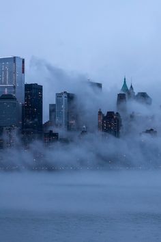 fog covers the city skyline as it rises above the water