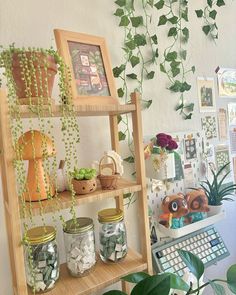 the shelves are filled with plants and other things on display in front of a white wall