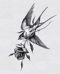 a drawing of a bird flying over a rose