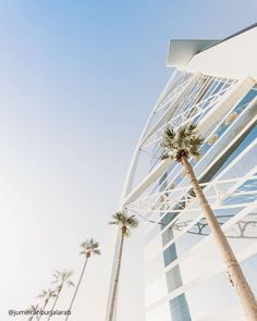 palm trees in front of an office building