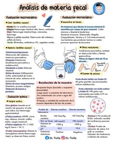 a poster with words describing the different types of medical items in spanish and english language