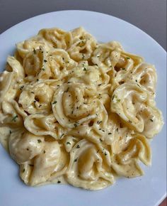 a white plate topped with pasta covered in sauce