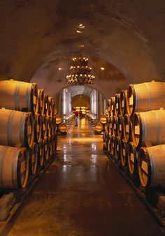 several wine barrels are lined up in the cellar