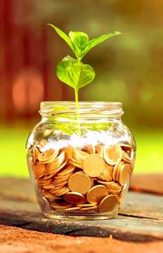 a glass jar filled with coins and a plant growing out of it